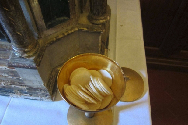 The recovered consecrated hosts. The recovered consecrated hosts.