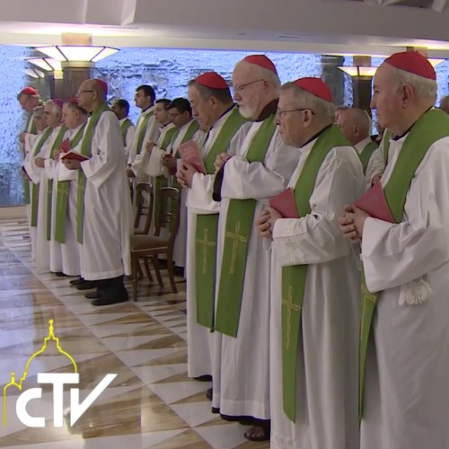 Members of the council of cardinals stand as Pope Francis arrives at the papal daily Mass June 9 at the Vatican. Members of the council of cardinals stand as Pope Francis arrives at the papal daily Mass June 9 at the Vatican.