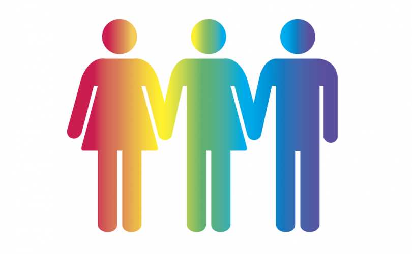 Click on the Transgenderism: A State-Sponsored Religion? link to read more. Click on the Transgenderism: A State-Sponsored Religion? link to read more.