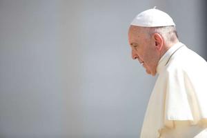Pope Francis at a general audience in Rome in June. Pope Francis at a general audience in Rome in June.