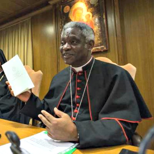 Cardinal Peter Turkson discusses Pope Francis' encyclical Laudato Si at a June press conference at the Vatican.
Cardinal Peter Turkson discusses Pope Francis' encyclical Laudato Si at a June press conference at the Vatican.