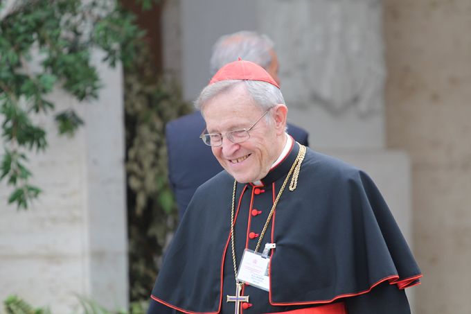Cardinal Walter Kasper. Cardinal Walter Kasper.