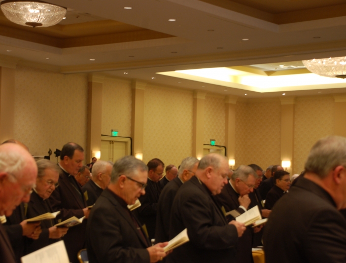 Bishops from across the United States take part in the 2013 Fall General Assembly in Baltimore.
Bishops from across the United States take part in the 2013 Fall General Assembly in Baltimore.