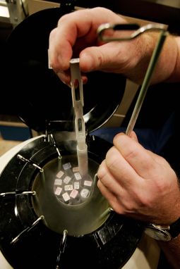 An embryologist removes frozen embryos from a storage tank at the Smotrich IVF Clinic in La Jolla, Calif., in this 2007 file photo. One of the scientists trying to block President Obama’s expansion of human embryonic stem-cell research says it diverts federal funding from scientifically promising adult stem-cell research to risky human embryonic stem-cell research studies. An embryologist removes frozen embryos from a storage tank at the Smotrich IVF Clinic in La Jolla, Calif., in this 2007 file photo. One of the scientists trying to block President Obama’s expansion of human embryonic stem-cell research says it diverts federal funding from scientifically promising adult stem-cell research to risky human embryonic stem-cell research studies.