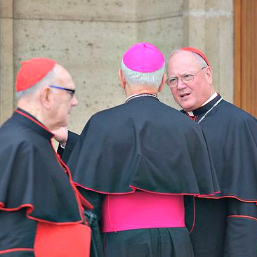 Cardinal Timothy Dolan speaks with bishops outside the Vatican’s Synod Hall. Cardinal Timothy Dolan speaks with bishops outside the Vatican’s Synod Hall.
