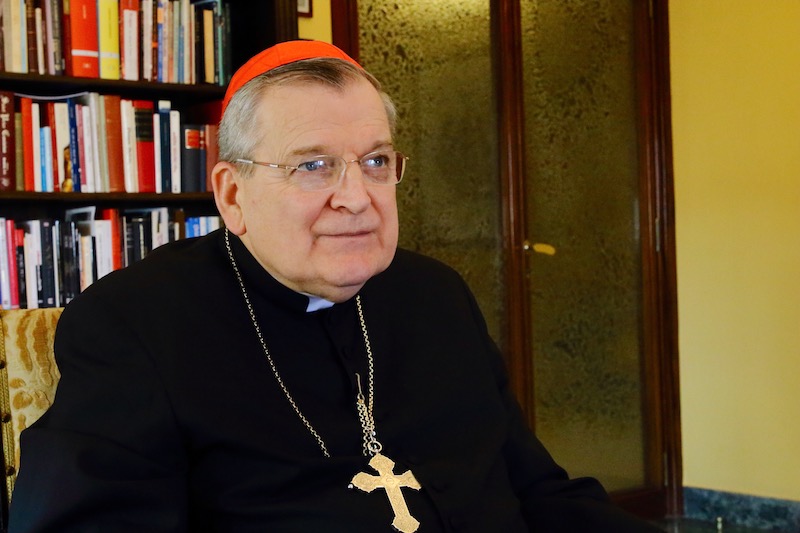 Cardinal Raymond Burke. Cardinal Raymond Burke.