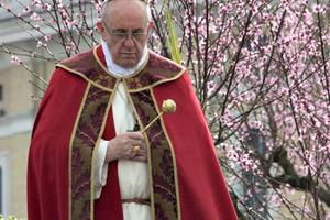 Pope Francis celebrates Palm Sunday Mass in St. Peter's Square on March 24, 2013.
Pope Francis celebrates Palm Sunday Mass in St. Peter's Square on March 24, 2013.