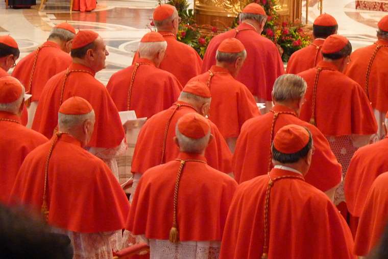 A consistory of cardinals in St. Peter's Basilica. A consistory of cardinals in St. Peter's Basilica.