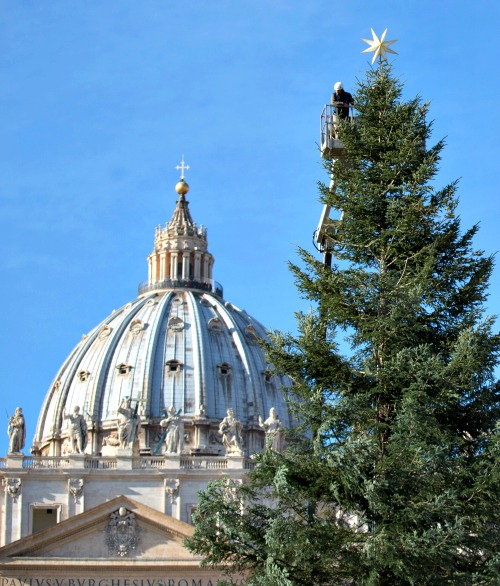 The dome of St. Peter's Basilica looms in the background as a man works near the top of an 84-foot, 70-year-old tree placed in St. Peter’s Square at the Vatican on Dec. 9. The dome of St. Peter's Basilica looms in the background as a man works near the top of an 84-foot, 70-year-old tree placed in St. Peter’s Square at the Vatican on Dec. 9.
