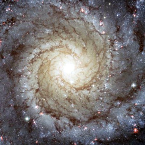 Galaxy M74
Galaxy M74