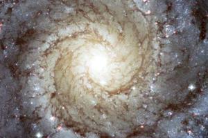 Galaxy M74
Galaxy M74