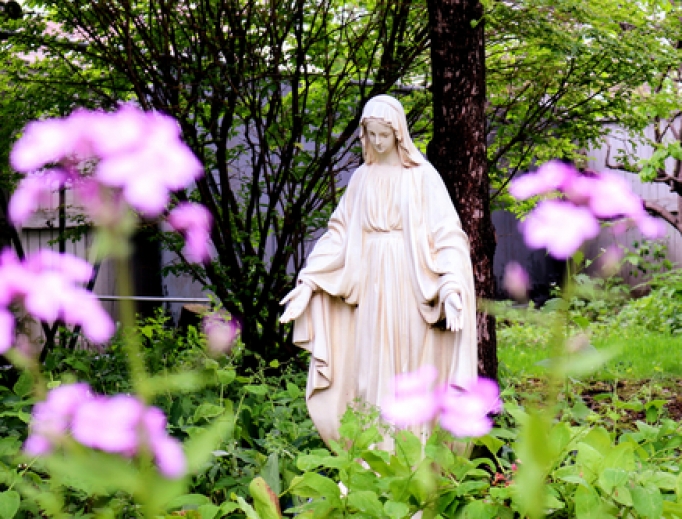 Blessed Virgin amid the flowers in a Mary Garden. Blessed Virgin amid the flowers in a Mary Garden.