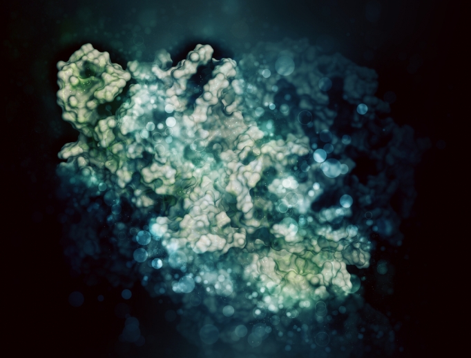 CRISPR-CAS9 gene editing complex from Streptococcus pyogenes CRISPR-CAS9 gene editing complex from Streptococcus pyogenes