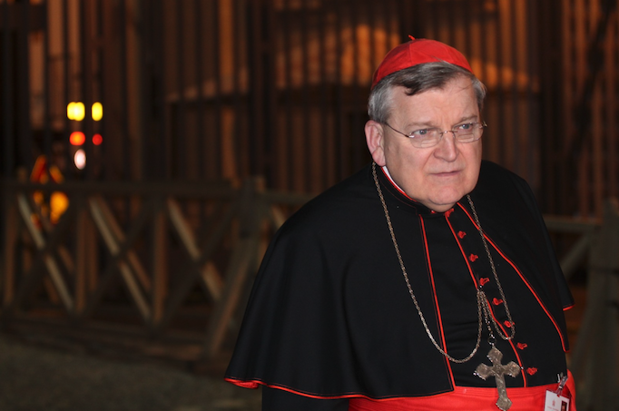 Cardinal Raymond Burke. Cardinal Raymond Burke.