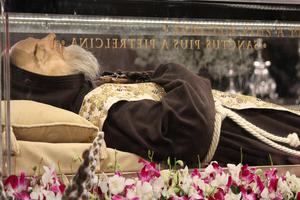 The arrival of the relics of St. Pio of Pietrelcina at the Basilica of San Lorenzo Outside the Walls in Rome on Feb. 3.
The arrival of the relics of St. Pio of Pietrelcina at the Basilica of San Lorenzo Outside the Walls in Rome on Feb. 3.