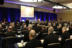 Bishops at the USCCB General Assembly in Baltimore, June 2019. Bishops at the USCCB General Assembly in Baltimore, June 2019.