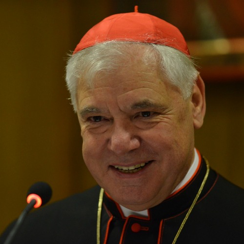 Cardinal Gerhard Müller, prefect of the Congregation for the Doctrine of the Faith, addresses the Humanum colloquium Nov. 18 in the Vatican’s Synod Hall. Cardinal Gerhard Müller, prefect of the Congregation for the Doctrine of the Faith, addresses the Humanum colloquium Nov. 18 in the Vatican’s Synod Hall.
