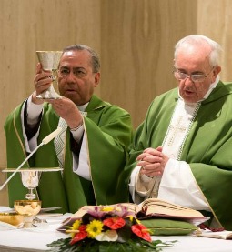 Pope Francis (r) celebrates Mass July 4 at the Vatican's St. Martha House. Pope Francis (r) celebrates Mass July 4 at the Vatican's St. Martha House.