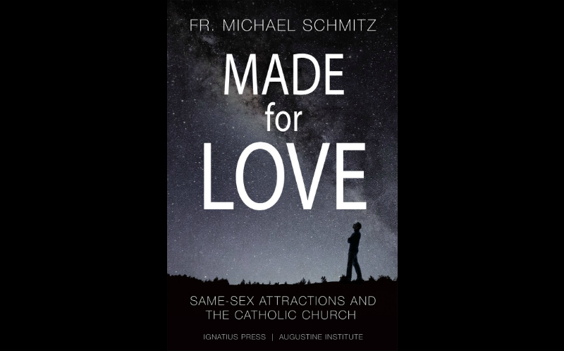 The Book Made for Love by Fr. Mike Schmitz The Book Made for Love by Fr. Mike Schmitz