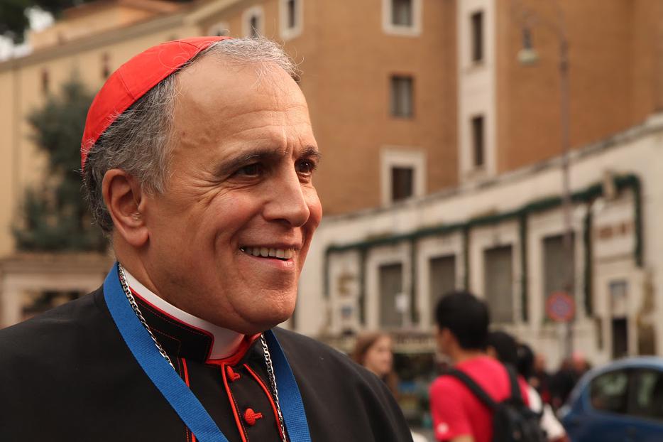 Cardinal Daniel DiNardo at the Vatican in 2015 Cardinal Daniel DiNardo at the Vatican in 2015