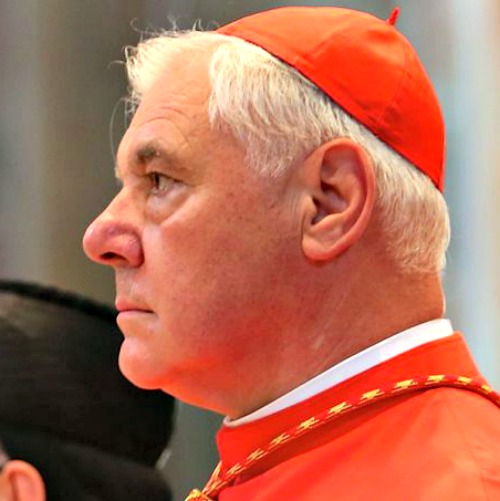 Cardinal Gerhard Müller Cardinal Gerhard Müller