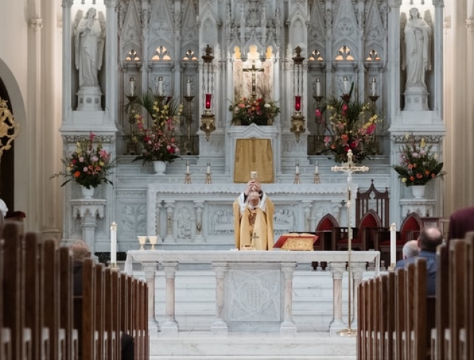 Mass is celebrated at the Cathedral-Basilica of the Immaculate Conception in Denver. Mass is celebrated at the Cathedral-Basilica of the Immaculate Conception in Denver.
