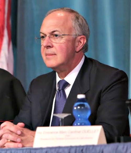 Carl Anderson, head of the Knights of Columbus, is shown at a conference at the Vatican in May. Carl Anderson, head of the Knights of Columbus, is shown at a conference at the Vatican in May.