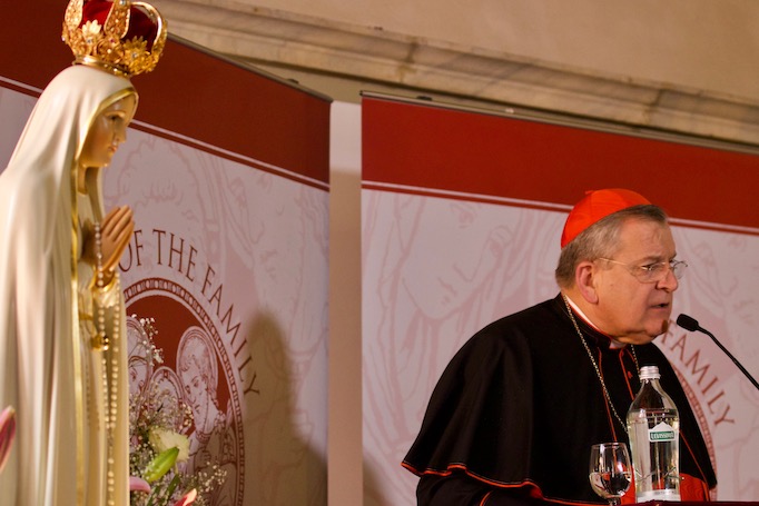 Cardinal Burke addressing the Rome Life Forum in May this year. Cardinal Burke addressing the Rome Life Forum in May this year.