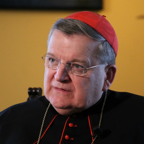 Cardinal Raymond Burke Cardinal Raymond Burke