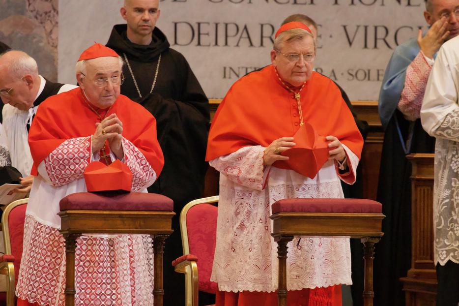 Cardinal Walter Brandmüller and Cardinal Raymond Burke Cardinal Walter Brandmüller and Cardinal Raymond Burke