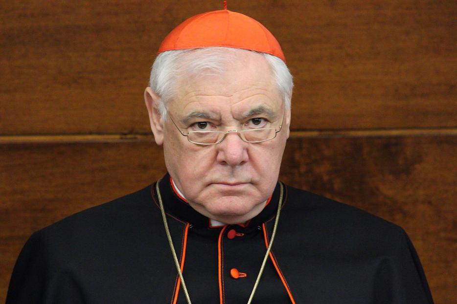 Cardinal Gerhard Müller. Cardinal Gerhard Müller.