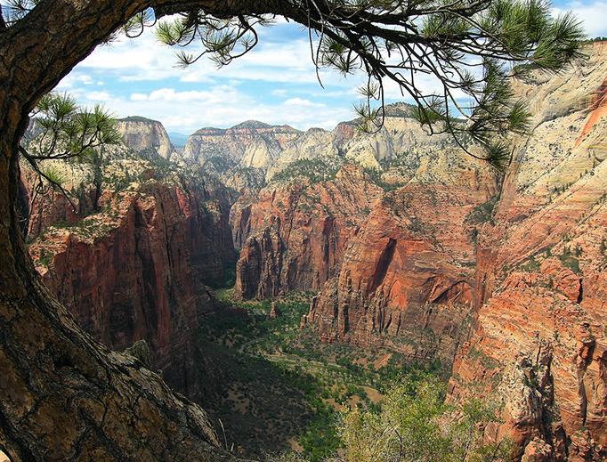 The view from the Angels Landing trail looking northward to the Narrows, Zion National Park, Utah The view from the Angels Landing trail looking northward to the Narrows, Zion National Park, Utah