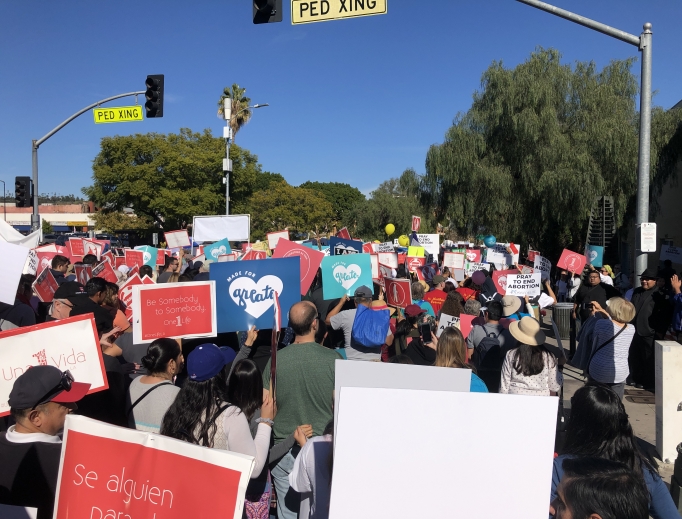 Thousands of pro-lifers descended on the streets of L.A. to witness to the dignity of human life. Thousands of pro-lifers descended on the streets of L.A. to witness to the dignity of human life.