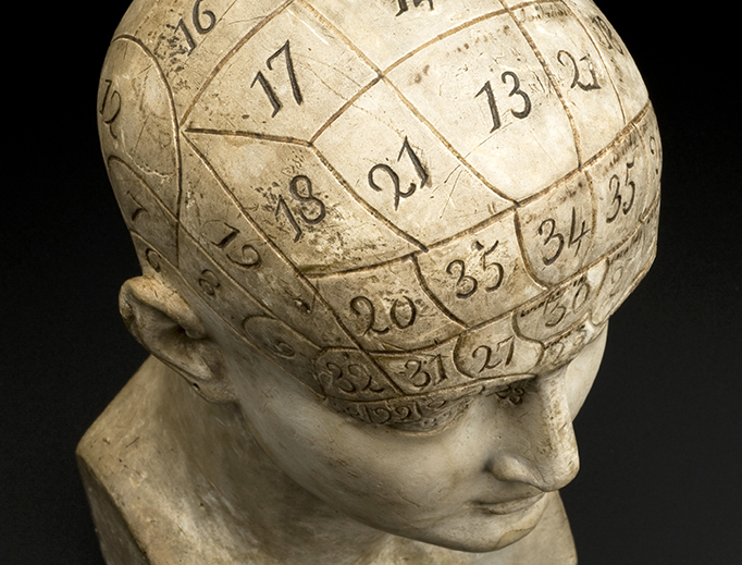Earthenware phrenological bust, areas are marked off with an impressed line, by J. De Ville, London, 1821.
Earthenware phrenological bust, areas are marked off with an impressed line, by J. De Ville, London, 1821.