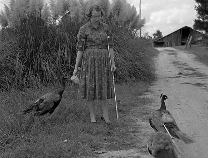 Photo credit: Atlanta History Center
Photo credit: Atlanta History Center