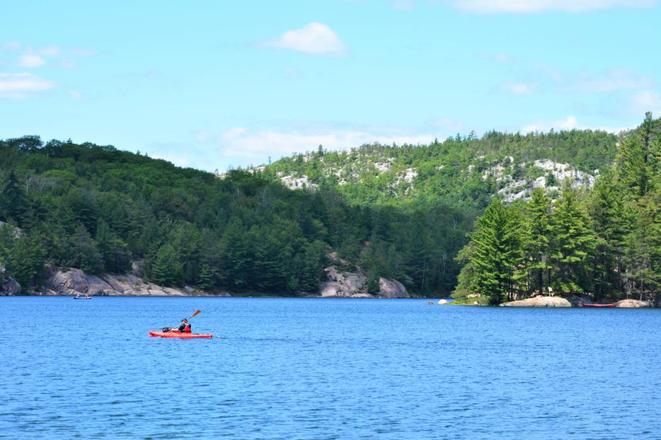 A man kayaks alone on a lake in the Northeast. A man kayaks alone on a lake in the Northeast.