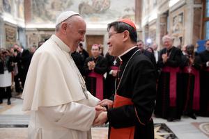 Pope Francis meets with members of Caritas International, including Cardinal Luis Antonio Tagle of Manila, Philippines on November 17, 2016 in Vatican City. Pope Francis meets with members of Caritas International, including Cardinal Luis Antonio Tagle of Manila, Philippines on November 17, 2016 in Vatican City.