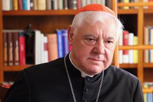 Cardinal Gerhard Müller in Rome, Italy Sept. 22. Cardinal Gerhard Müller in Rome, Italy Sept. 22.