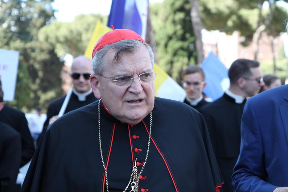 Cardinal Raymond Leo Burke at the March for Life in Rome, held on Mother's Day, May 10, 2015. Cardinal Raymond Leo Burke at the March for Life in Rome, held on Mother's Day, May 10, 2015.