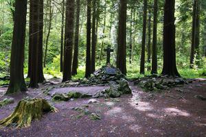 A Mass rock in a forest in Ireland A Mass rock in a forest in Ireland