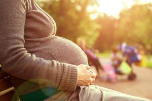 Pregnant woman sitting on a park bench Pregnant woman sitting on a park bench