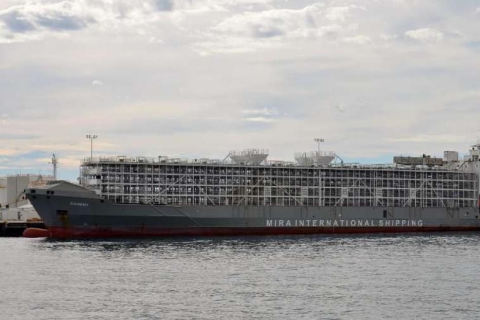 The livestock carrier Gulf Livestock 1, pictured in 2016. The livestock carrier Gulf Livestock 1, pictured in 2016.