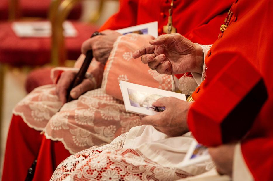 Cardinals at the Ordinary Public Consistory for the Creation of New Cardinals in St. Peter's Basilica on Oct. 5, 2019. Cardinals at the Ordinary Public Consistory for the Creation of New Cardinals in St. Peter's Basilica on Oct. 5, 2019.