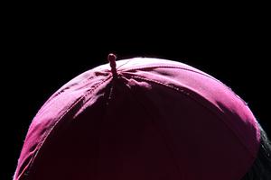 The US Bishops met virtually this Fall amid spikes in the coronavirus pandemic.