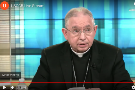 Archbishop Jose Gomez speaks Nov. 17 during a virtual session of USCCB fall assembly.