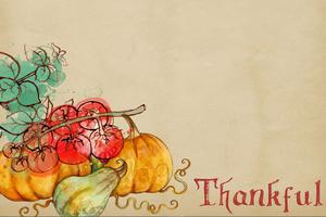 Thankfulness is celebrated on TV in the coming days. Thankfulness is celebrated on TV in the coming days.