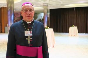 Archbishop Tadeusz Kondrusiewicz. Archbishop Tadeusz Kondrusiewicz.