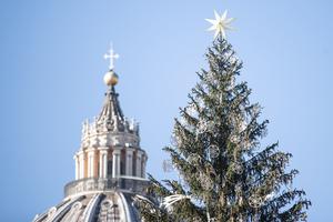 The lighting of the Vatican Christmas tree was held Dec. 11. The lighting of the Vatican Christmas tree was held Dec. 11.