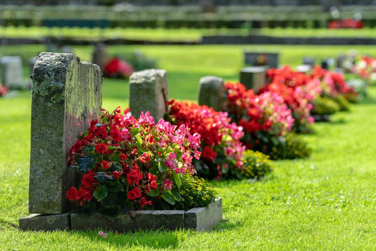 Sun shining down on gravestones inside a cemetery in the United States. Sun shining down on gravestones inside a cemetery in the United States.