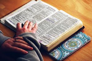 Bible Study Bible Study